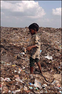 کثافات در شهر