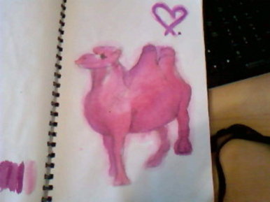 Pink camel