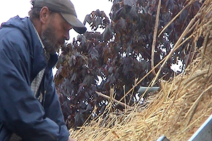 Dave Symonds is a master thatcher who uses materials grown in the valley where he lives on the Devon/Dorset border.