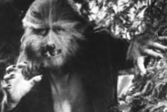 Lon Chaney as a werewolf.