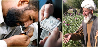 دکوکنارو زيانونه