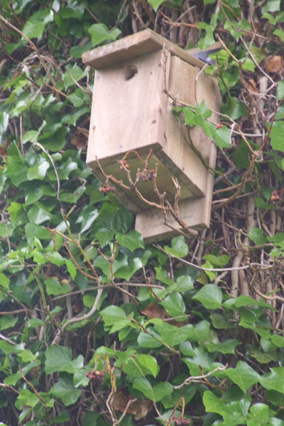 Bird boxes