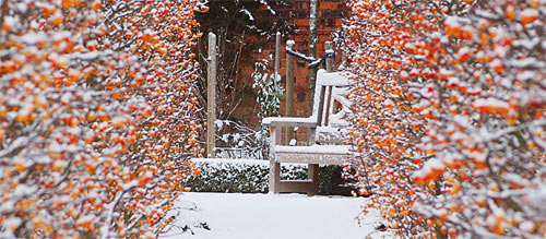 The garden at Alnwick Castle in the snow