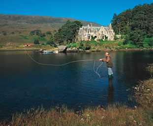 Loidse Afraic ann am Pollan Feàrna 