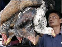 Endonezya'da tavuk pazarı