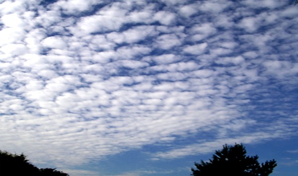 Altocumulus cloud