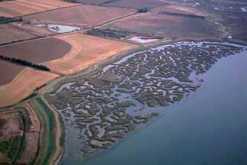 Abbotts Hall Farm on the Blackwater Estuary.
