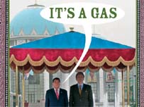 'Глобал Вітнес'