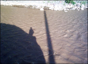 عکس از عليرضا قره قزلو