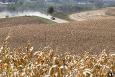 A field of genetically-modified crops