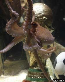 الأخطبوط الألماني، بول