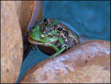 Foto: Kerry Roberts/Divulgação
