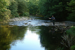 Upper Irfon (courtesy of the The Wye and Usk Foundation)