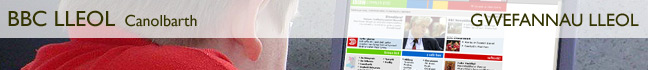 Gwefannau Lleol