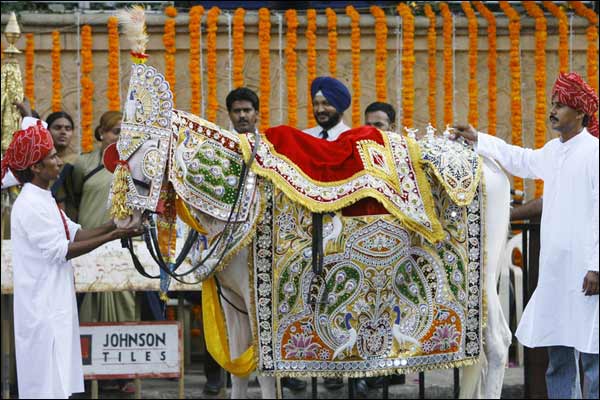 दूल्हे अभिषेक की घोड़ी