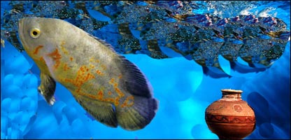 ډوب شوی منګی