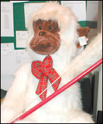 Nick Carter's producer