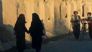 甘肅省部分村莊在路邊豎起「遮羞牆」