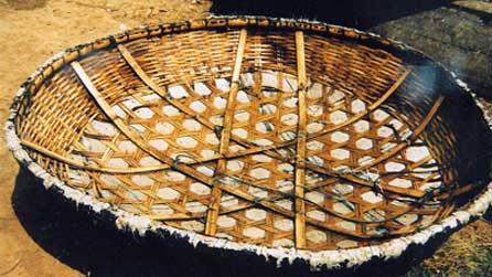 Cwrwgl, gyda diolch i Martin Fowler am gael defnyddio'r llun