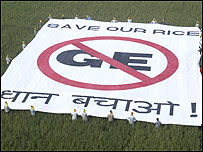 जीई धान नस्ल के ख़िलाफ़ आंदोलन