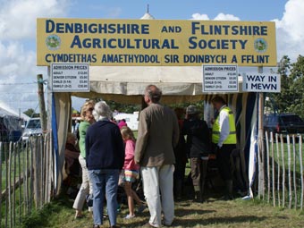 Sioe Dinbych a Fflint 2009