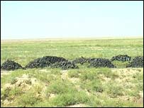 د ېش لپاره دولتي ځمکې 