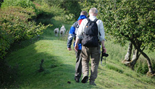 dyke section leading to Cwm