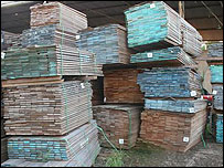 Muntele de cherestea