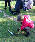 Preparing the ground to plant bulbs