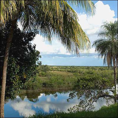 Foto: Sue Cunningham