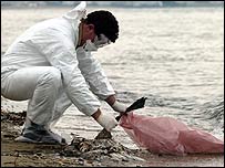 Ölü kuşu toplayan görevli