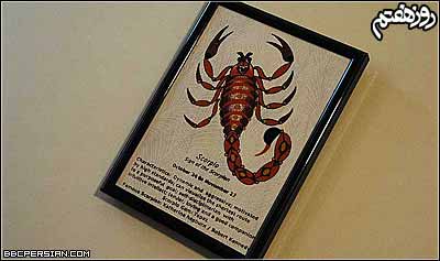 مریم حیدرزاده