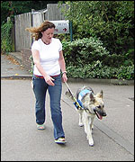 Sue Dougan does puppy walking