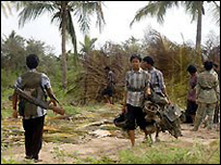 Sri Lanka Tamil Tigers (file photo)