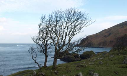 Coast like this near Fairhead offers a rich diversity of habitats.