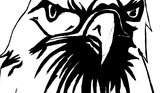 Glaring Eagle...