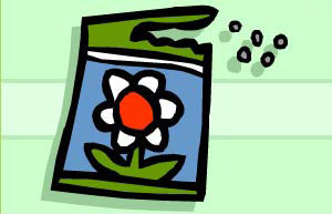 Image: plant dispersing seeds