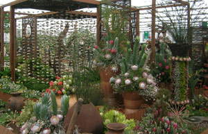 The South African floral display