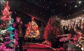 Inside the exhibition