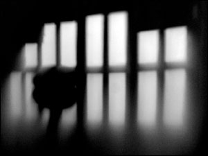 عکس از محمد نادعلی