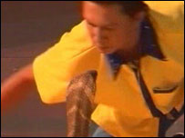 Cobra naja e Shahimi Abdul Hamid