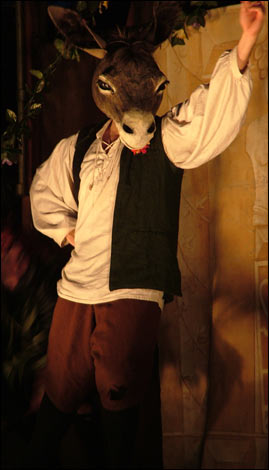 Enchanted by fairies