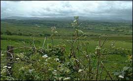 View towards Dartmoor 