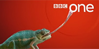 CGI chameleon