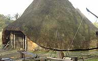 Image of an Iron Age round house
