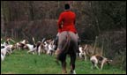 Fox Hunting
