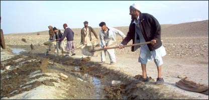 د ويالو پاکول