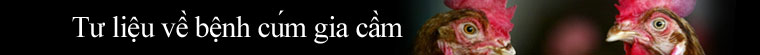 Tư liệu về cúm gia cầm