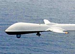 An American 'Predator' spy plane