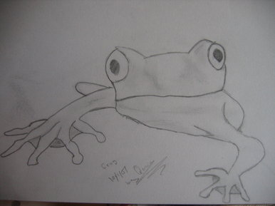 Frog